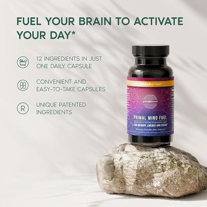 Brain Supplement by Primal Harvest, Primal Mind Fuel Brain Booster for Focus, Energy, Clarity, and Brain Health 30 Capsules Nootropics Brain Support Supplement for Men and Women