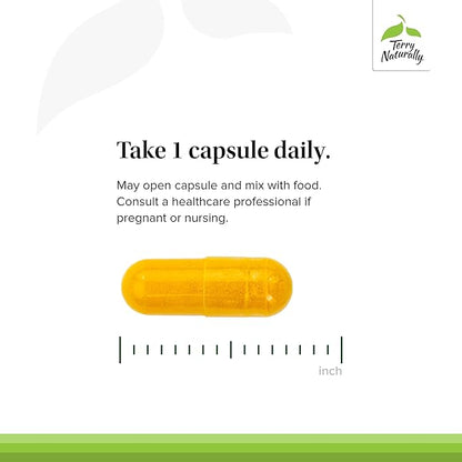 Terry Naturally CuraMed 500mg - Antioxidant Supplement for Brain & Immune Health Support - Supplement with Curcumin & Turmeric Essential Oil - Herbal Liver Support - 60 Softgels
