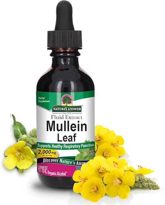 Natures Answer Mullein Leaf Low Alcohol 2000mg 2 oz Extract | Supports Respiratory Wellness | Gluten-Free, Vegan, Non-GMO, No Artificial Flavors or Preservatives | Single Count