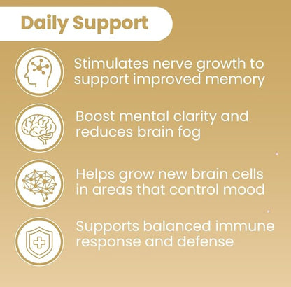Sanar Naturals Lions Mane Supplement Capsules - Focus, Memory and Brain Function Support - Mushroom Lions Mane Powder Supplement Nootropic - Non-GMO, Gluten-Free, 120 Pills