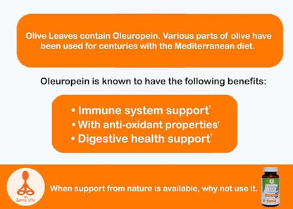 Olive Leaf Extract (Non-GMO)