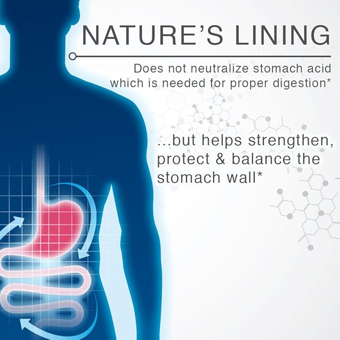 Lane Innovative - Nature's Lining, Chewable Tablets, Helps Protect Stomach Wall, Long Lasting Relief, Supports Digestive Balance* (60 Servings)