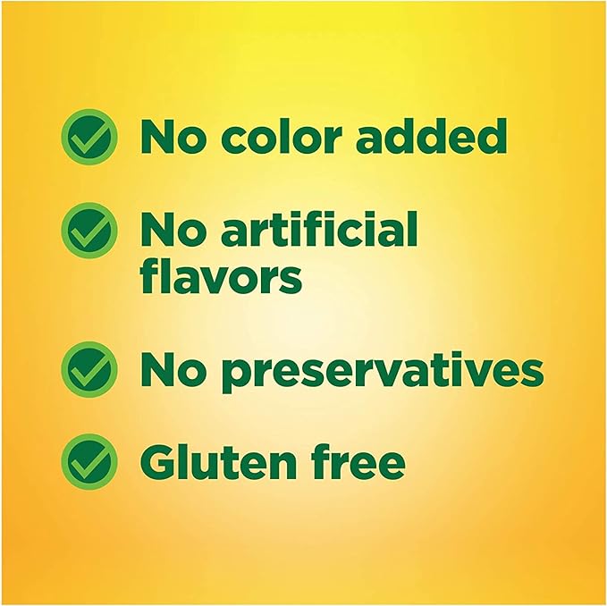 Nature Made B1 100 Mg 100 Count (5 Pack)