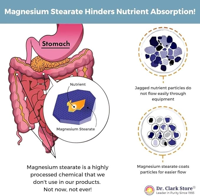 Dr Clark Store Milk Thistle Seed Supplement – 500mg, 100 Capsules, Liver Health & Detox Support