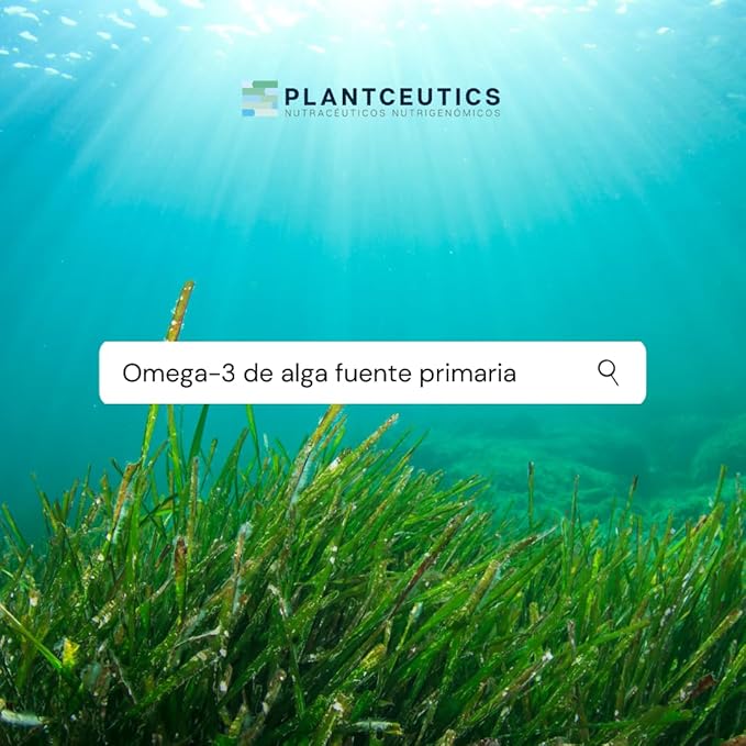 Algae Omega-3 120 Soft Gels - 560 mg Omega-3 Very HIGH in DHA - Certified Algae Oil - 100% Vegan - 100% Biodegradable Packaging