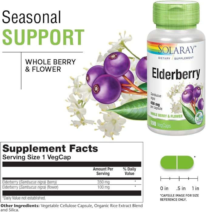 SOLARAY Elderberry Berry & Flower 450mg | Support for General Wellbeing During Cold Months | with Flavonoids & Phenolic Compounds | Non-GMO | 100ct