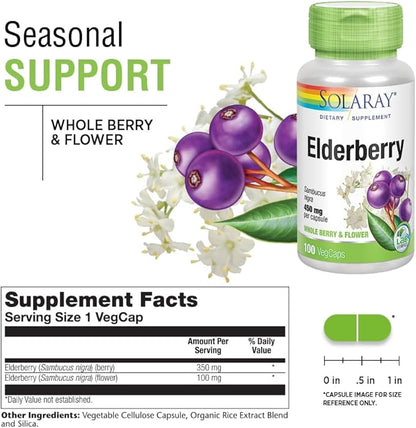 SOLARAY Elderberry Berry & Flower 450mg | Support for General Wellbeing During Cold Months | with Flavonoids & Phenolic Compounds | Non-GMO | 100ct