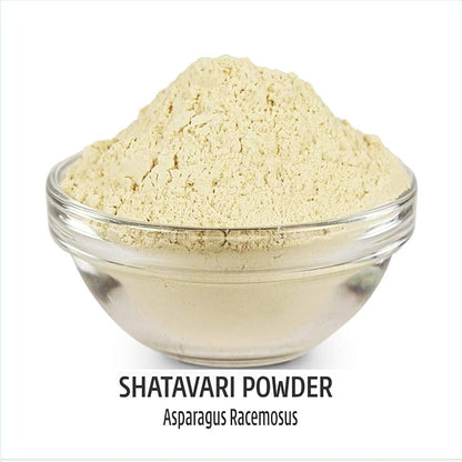 Shatavari | Asparagus Racemosus | Thaneervittan Kilangu Powder | for Vata & Pitta, Balanced Female Hormones, Energy, Vitality (100g/220lbs)