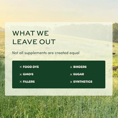 Men’s Multi Once Daily, Men's Multivitamin, 19 Vitamins from Herbs & Superfoods, 30 Count