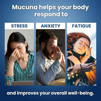 Well of Life: Mucuna Pruriens 60 Veggie Capsules, Supplement for Relaxation, Mood & Well-Being, 15% Extract Natural, USA Made, No Color Added No Artificial Ingredients & Non-GMO