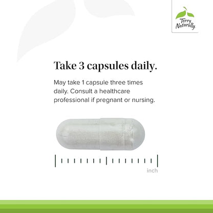 Terry Naturally Be Mobile - Collagen Supplement for Joint Health Support - Dietary Supplement with Boswellia Extract & Type II Collagen - Lower Back & Knee Support Supplement - 60 Capsules (Pack of 2)