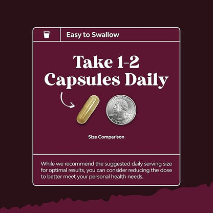 Kidney Support Supplement - High Strength Kidney Cleanse, Detox & Repair Cranberry Extract Capsules with Uva Ursi, Stinging Nettle & Chanca Piedra - Urinary Tract Health & Bladder Cleanse - 240 Caps