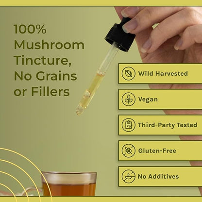 Naturealm Chaga Mushroom Liquid Tincture Supplement – Immune Support, Antioxidant Boost & Hair, Skin, Nail Health, Vegan, Non-GMO – Wild-Harvested Fruiting Bodies, 1 Month Supply