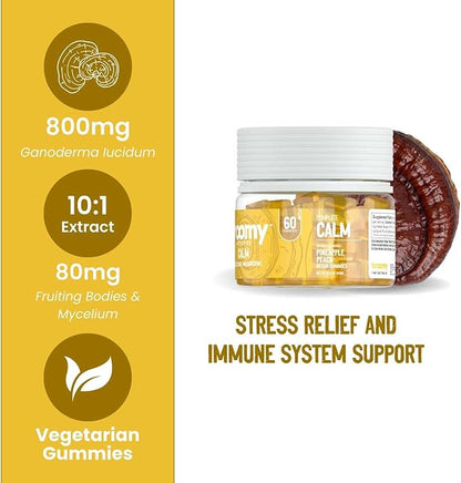 Troomy Reishi Calm Gummies Natural Pineapple Peach Flavor, Gelatin-Free, Gluten-Free, and Vegetarian - 60 Count