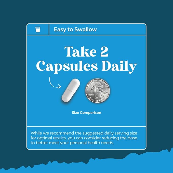 ALC and Alpha Lipoic Acid Supplements - Acetyl l-carnitine Alpha Lipoic Acid Antioxidant Supplement - Essential Fatty Acids for Skin Care Health AMPK Activator and Metabolism Booster for Weight Loss