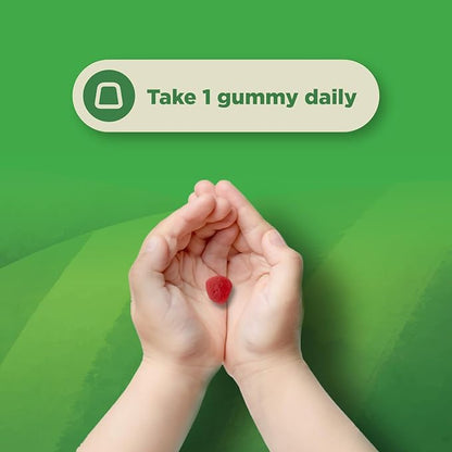 Natures Craft USDA Organic Probiotic Gummies for Kids - Vegan Non-GMO Kids Probiotic Gummy Vitamin for Immunity and Digestive Health - Gentle 2.5B CFU Organic Probiotics Strawberry Flavor (4 Month)