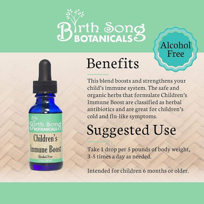 Children's Immune Boost Tincture*, Kids Immune System Support Supplement with Echinacea, Liquid Herbal Immune Drops for Kids, Children's Echinacea Herb Immune Formula 1oz Bottle