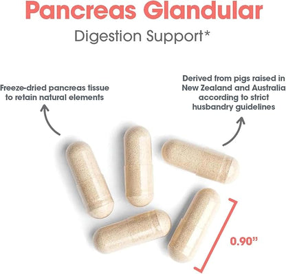 Allergy Research Group Pancreas Pork Supplement - Pancreas Natural Glandular, 425mg Pancreatic Enzymes, Digestive Enzymes Amylase, Protease - 60 Count