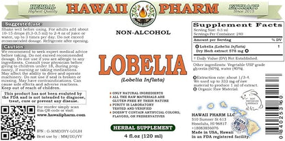 Lobelia Alcohol-Free Liquid Extract, Organic Lobelia (Lobelia Inflata) Dried Herb Glycerite Hawaii Pharm Natural Herbal Supplement 4 oz