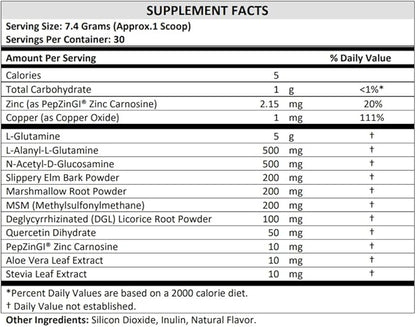 TERRA ORIGIN Healthy Gut Mint Flavor |30-Servings with L-Glutamine, Zinc, Glucosamine, Slippery Elm Bark, Marshmallow Root and More!