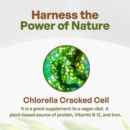 Go Nutra - Chlorella Powder, Pure Greens Powder with Vitamins, Minerals, and Antioxidants, All Natural Greens Superfood Powder, Chlorella Cracked Cell Green Powder, Non-GMO, Vegan 4oz.