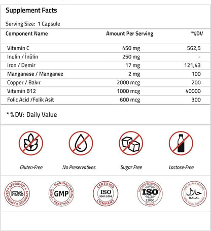 Validus Premium Iron 17 mg - 450 mg Vitamin C - Vitamin B12 1000 mcg - Red Blood Cell Support - Energy Production - Highly Bioavailable Iron Pill - Gluten Free & Vegan - 90 Capsules
