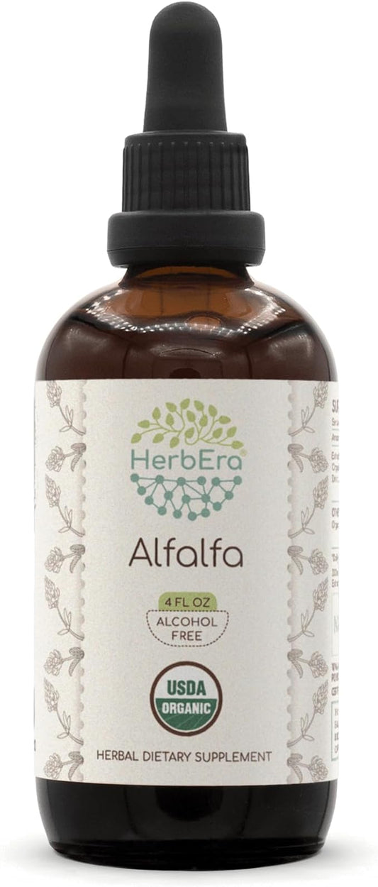 Alfalfa B120 USDA Organic Tincture | Alcohol-Free Extract, High-Potency Herbal Drops | Certified Organic Alfalfa Dried Leaf (4 oz)
