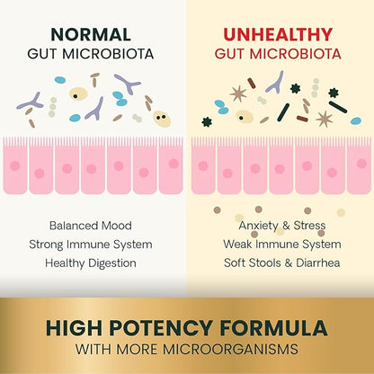 VetriScience Extra Strength Gut Health Probiotic & Prebiotic Digestive Supplements for Dogs & Cats, Gas & Diarrhea & Immune Support, Easy-Open Capsules, 180 Count - New Look