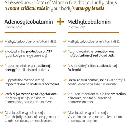 OU Vitamin B12 Liquid Drops 5000mcg - Methylcobalamin B12 for Energy, Mood & Metabolism - Fast Absorbing Sublingual B12 Vitamin - Vegan, Non-GMO, 2 Oz