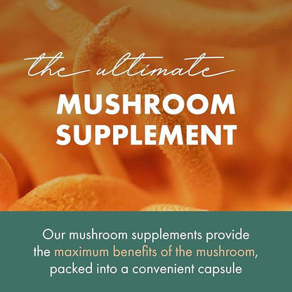PURE ESSENCE LABS MyPure Cordyceps 4X Mushrooms - Concentrated Cordyceps Mushroom Powder Supplements for Immune System, Stress Response, Physical & Mental Performance - 2 Months Supply