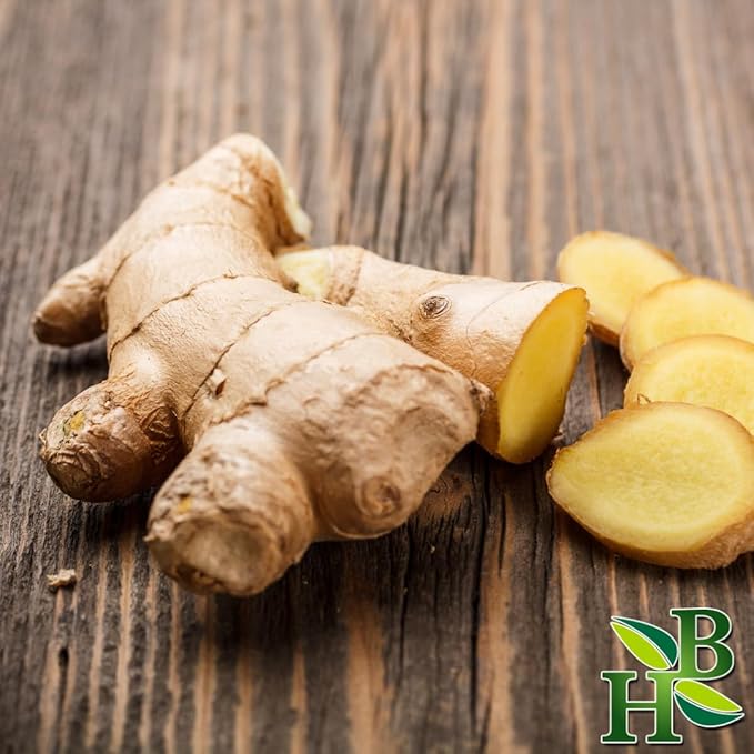 Herb To Body Ginger Root C/S | Cut & Sifted | Zingiber Officinale | Wildcrafted | 4oz