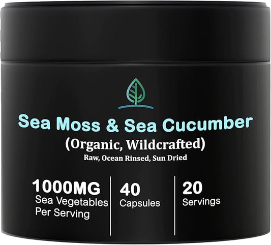 Holistic Bin Purple Sea Moss and Sea Cucumber Supplement Wildcrafted Raw Sea Moss Capsules | 500mg Sea Vegetables Per Serving