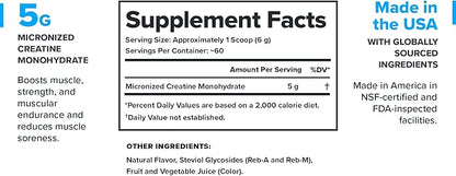 LEGION Micronized Creatine Monohydrate Supplement - Clean Creatine Powder for Muscle Gain & Post Workout Recovery - Micronized Creatine Supplement for Maximum Absorption (60 Servings, Fruit Punch)