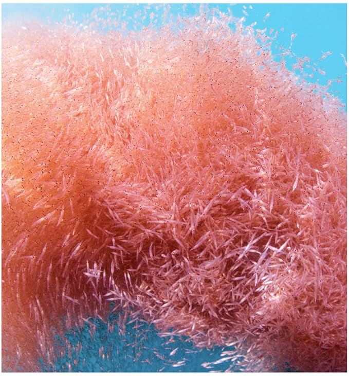 Vidalia Provides a Potent Source of Omega-3 derived from Antarctic Krill Oil, high Content of PHOSPHOLIPIDS, Choline and ASTAXANTHIN, offering Superior bioavailability. Free Heavy Metals.