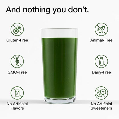 Huel Daily Greens Single Serve | Superfood Greens Powder | 91 Vitamins, Minerals, and Wholefood-Sourced Ingredients | Adaptogens, Antioxidants, Gut-Friendly Probiotics | 12 Pack
