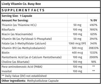 LIVELY VITAMIN CO. Busy Bee - Highly Bioavailable Vitamin B Complex with Choline - Energy - Stress - Brain Fog - Mental Clarity - Oxidative Damage - Dairy Soy Gluten Free - 90 Vegan Capsules