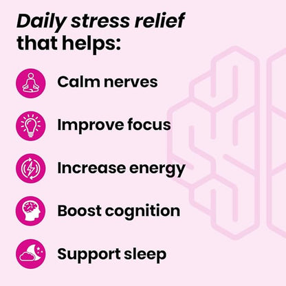 NeuroQ Calm Focus Capsules - Stress Relief Supplement - Supports Mental Function & Relaxation - Sensoril Ashwagandha, Magnesium, GABA, L-Theanine, Andean Cocoa & Kava Kava - 60 Capsules