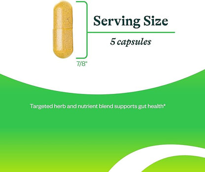 Optimal GI | Glutamine-Free Supplement | Digestive and Gastrointestinal Support | Seeking Health (150 Capsules) | 30 Servings