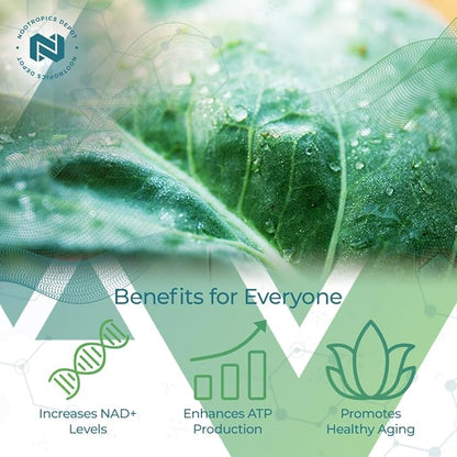 Nootropics Depot NADH + Chlorella vulgaris (Broken Cell) 400mg Capsules | Nicotinamide Adenine Dinucleotide 20mg | Chlorophyll 10mg | Energy, Alertness, Mental Clarity & Healthy Aging, 30 Count