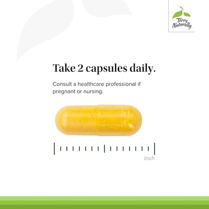 Terry Naturally Healthy Feet & Nerves - Herbal Supplement with Bioactive Vitamin B12 - Circulation & Nerve Health Support Supplement - Vegan Capsules with Boswellia Serrata - 60 Capsules (Pack of 2)