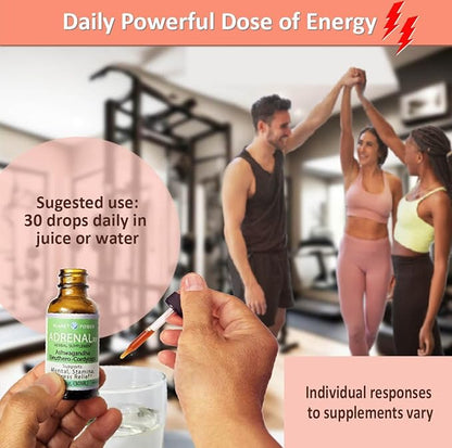 Adrenal Daily Liquid Drops. Supports Wellness & Energy. Supplement with Adaptogenic Herbs Ashwagandha, Eleuthero, Rhodiola & Cordyceps