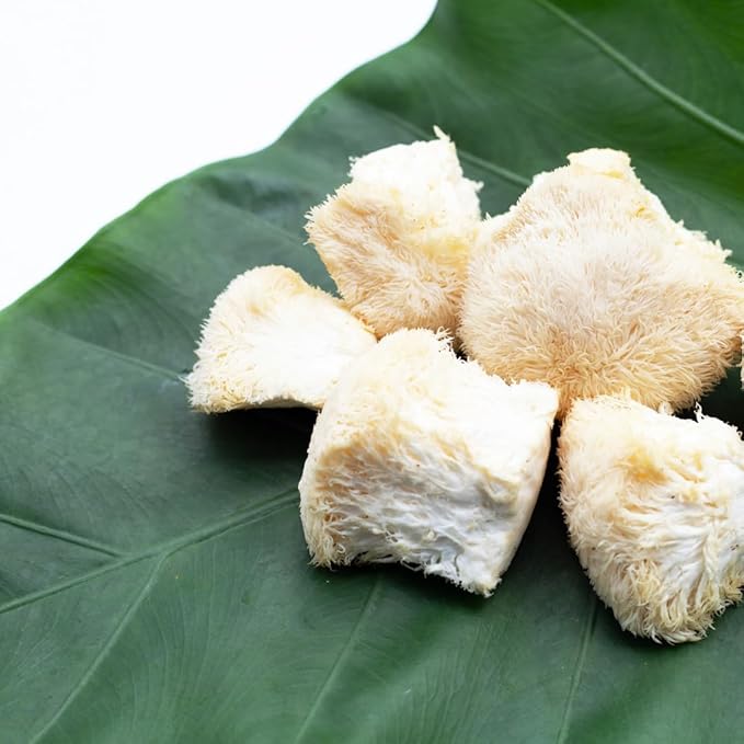 Lion's Mane Mushroom Extract, 1 lb, Hericium Erinaceus Extract, Herbal Supplement, Always Pure