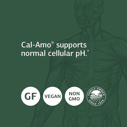 Standard Process Inc. Cal-Amo - Cellular pH Support and Lung Support Supplement with Magnesium Citrate, Calcium Chloride, Calcium Lactate, Ammonium Chloride - 90 Tablets