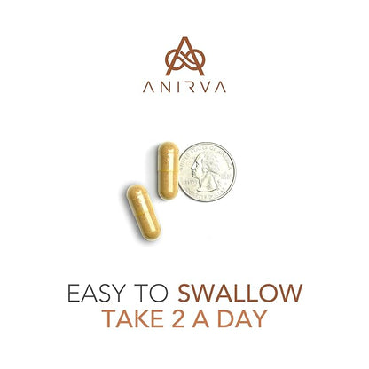 2-Pack Acne Pills with Zinc for Adults, Acne Pill for Hormonal Acne, Zinc Pills for Acne Treatment, Probiotics for Acne, Zinc Supplements for Adult Acne - Anirva Clear Derm With Probiotics