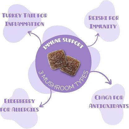 Mini Mushy's Organic Immune Support Daily Gummies | Turkey Tail, Reishi, Chaga Mushrooms, Elderberry | for Kids Ages 2+ Natural Color, Allergy Friendly, Low Sugar | Strawberry Flavor - 30 Count