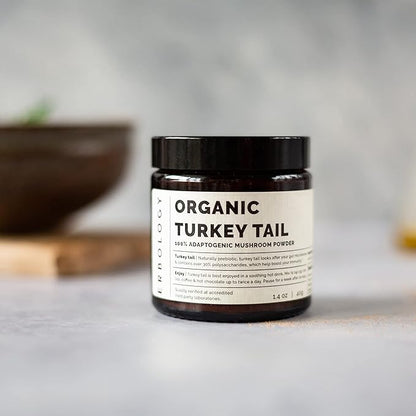 Erbology Organic Turkey Tail Mushroom Powder 40 Servings - 22% Beta-glucans - Prebiotic and Gut Nourishing - Trametes Versicolor - Small Batch - Sustainably Grown in Europe - Vegan - Non-GMO