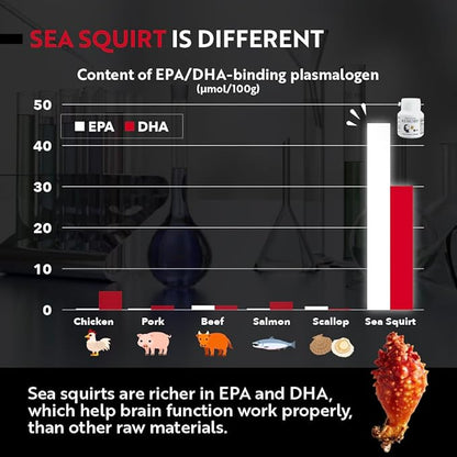 Plasmalogen Sea Squirt Supplement - Brain Health Supplement - 30 Days Supply