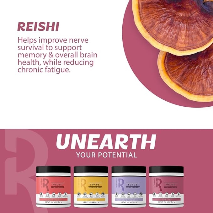 Roots Focus Nootropic Brain Supplement - Fruit Punch & Blackberry Lavender Lemonade- Lions Mane, Cordyceps & Reishi Functional Mushrooms+ Extended-Release Caffeine, 100 Servings