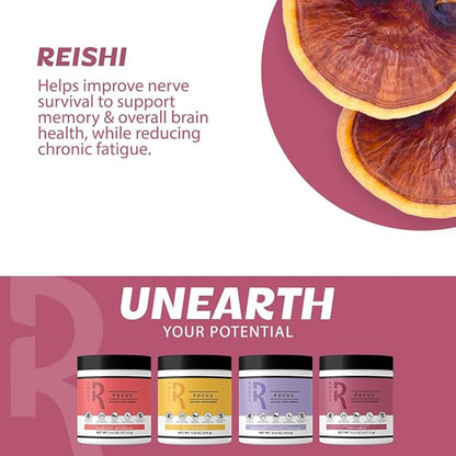 Roots Focus Nootropic Brain Supplement - Fruit Punch & Blackberry Lavender Lemonade- Lions Mane, Cordyceps & Reishi Functional Mushrooms+ Extended-Release Caffeine, 100 Servings