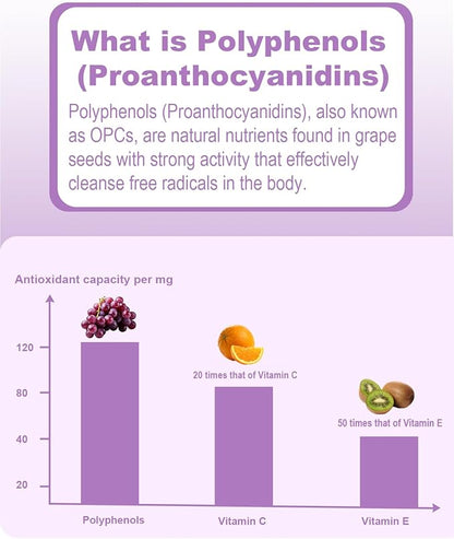 Natural Grape Seed Extract Drops-300 mg Grape Seed Extract Liquid Supplement - Maximum Strength Vitis Vinifera Seed Tincture, Standardized to 95% Polyphenols, Non-GMO, Gluten Free (60ml)